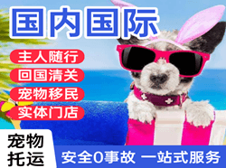 张家界荷花国际宠物托运 【国